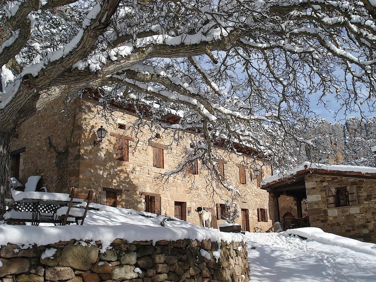 Posada Molino Del Canto Barriolacuesta エクステリア 写真